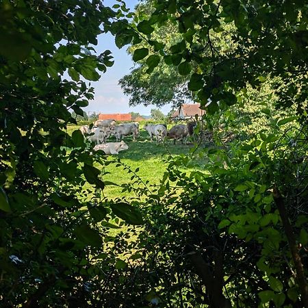 Chez Nick Et Martine Suite Privative Palinges Zewnętrze zdjęcie