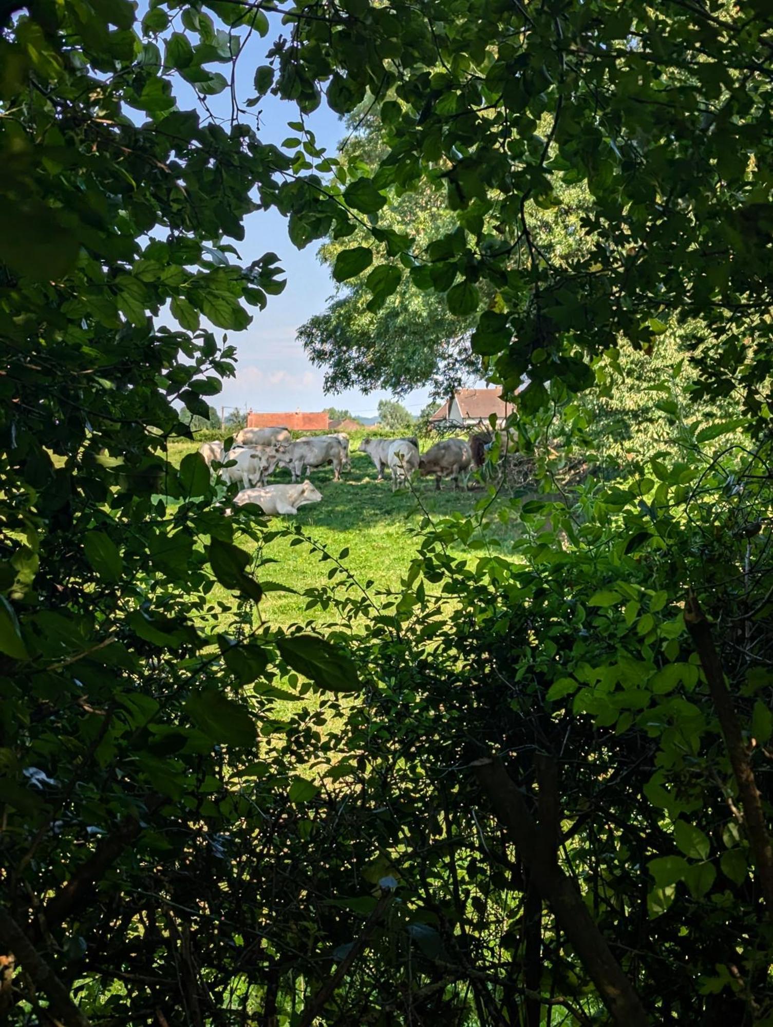 Chez Nick Et Martine Suite Privative Palinges Zewnętrze zdjęcie